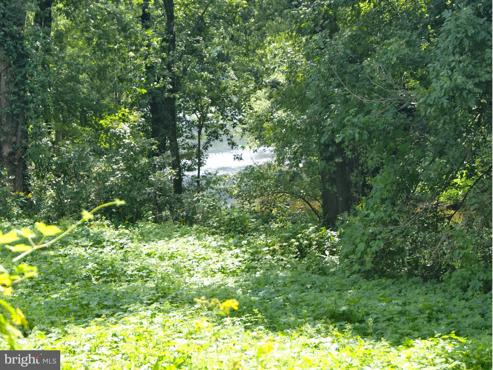 NONE AVAILABLE - Land