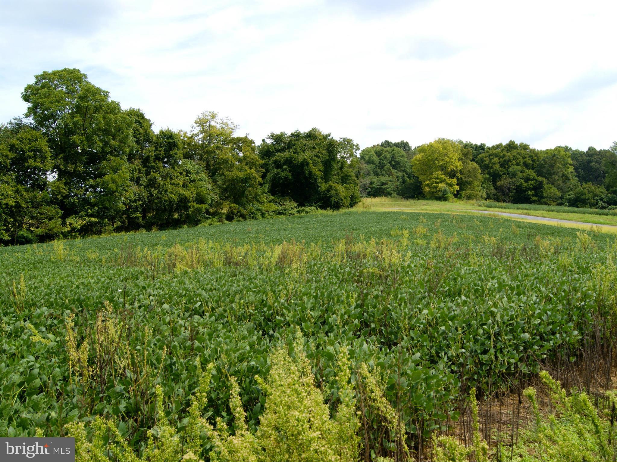 NONE AVAILABLE - Land