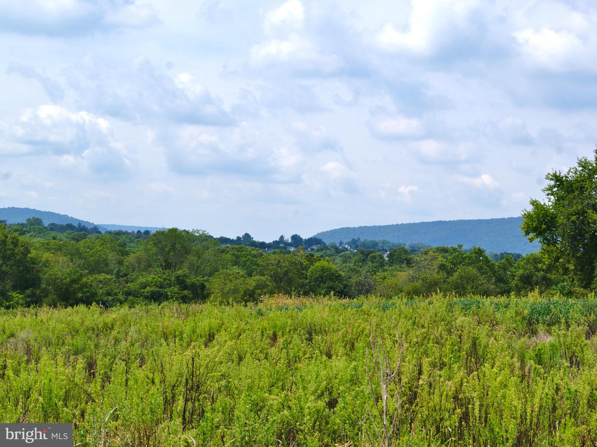 NONE AVAILABLE - Land