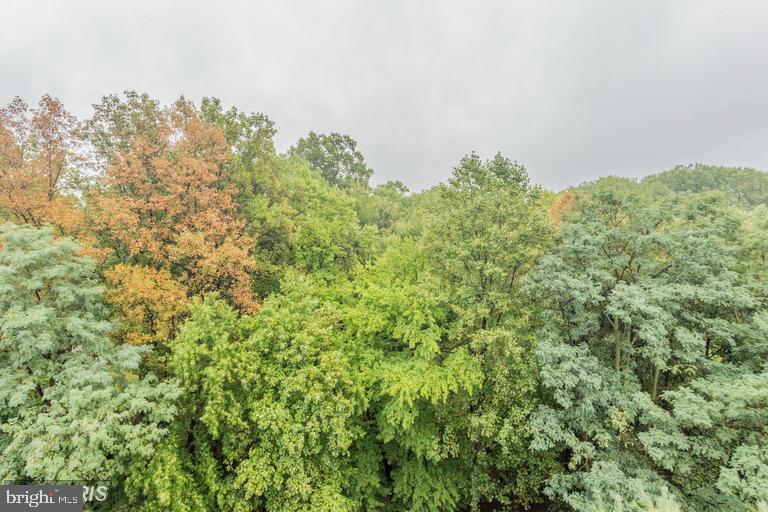 RENAISSANCE - Residential