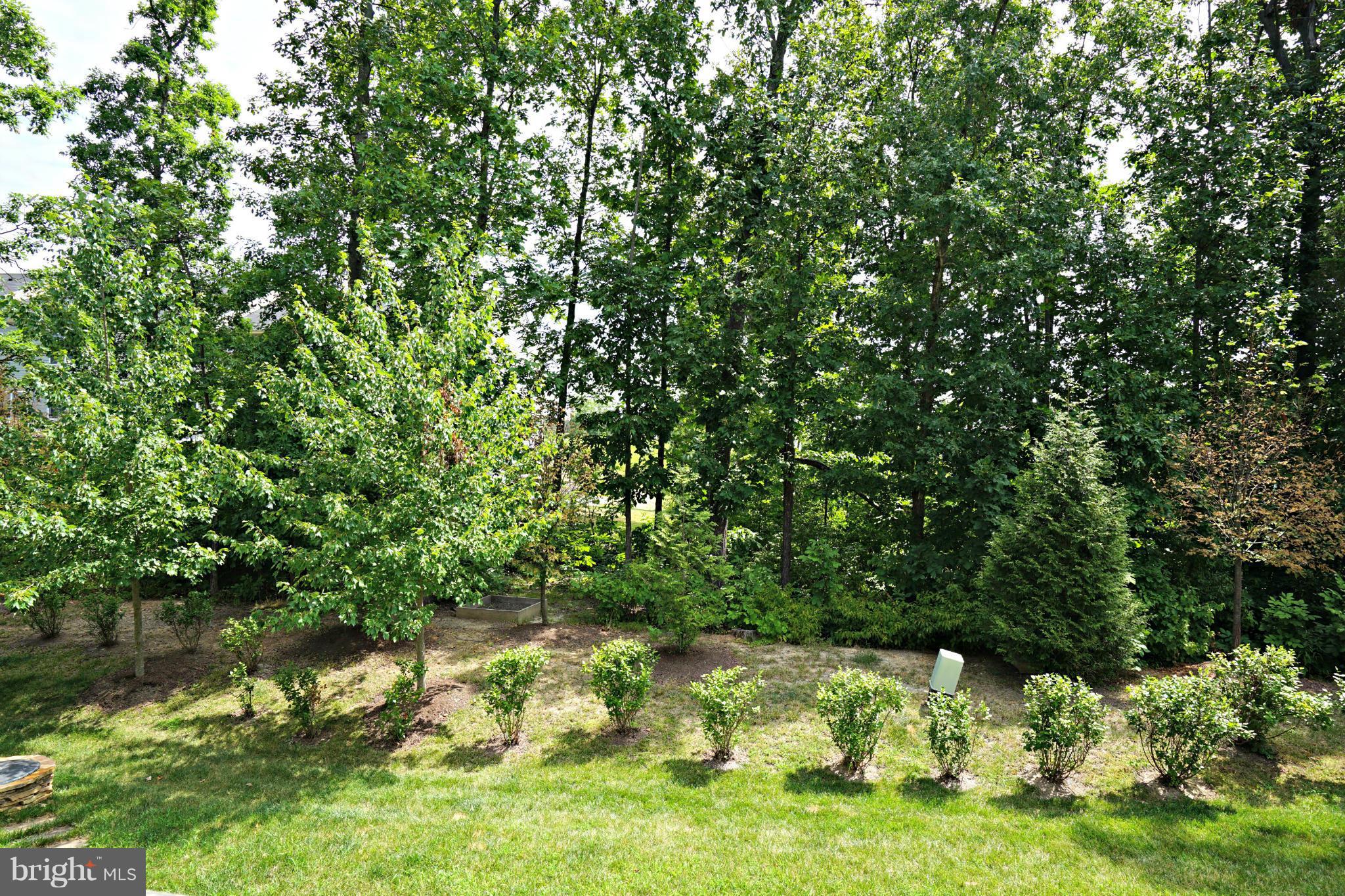 PEMBROOKE - Residential