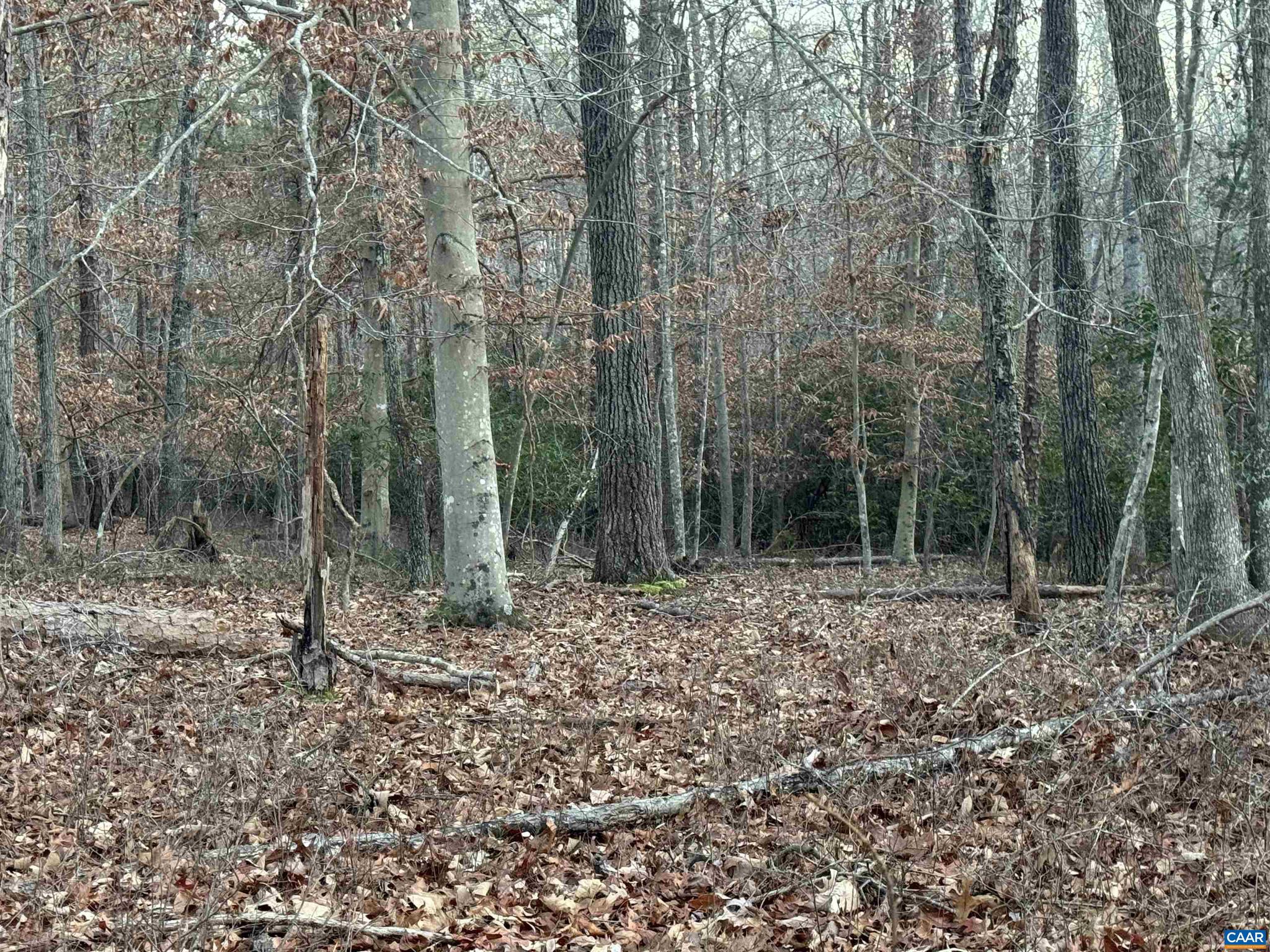 NONE AVAILABLE - Land
