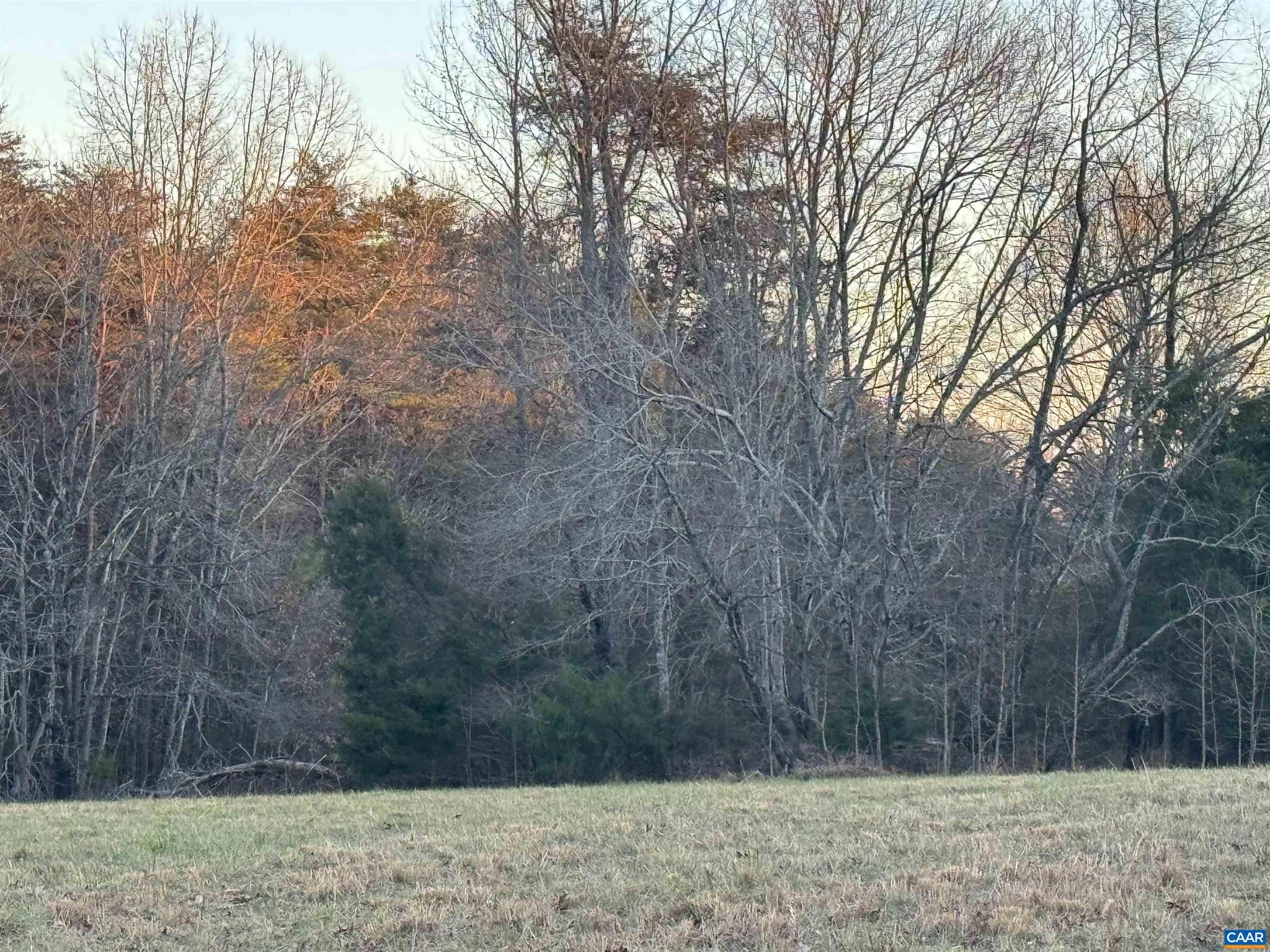 NONE AVAILABLE - Land