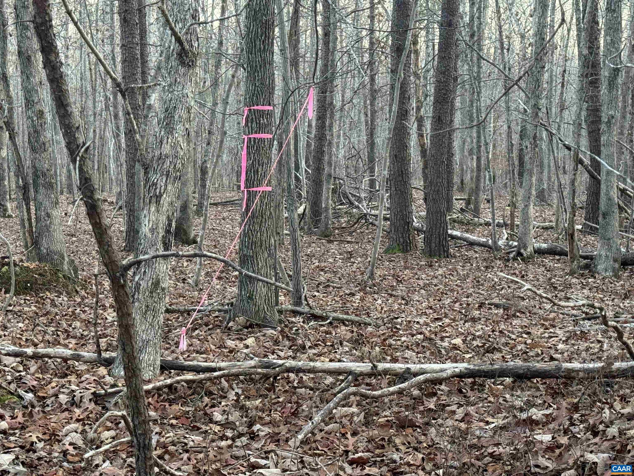 NONE AVAILABLE - Land
