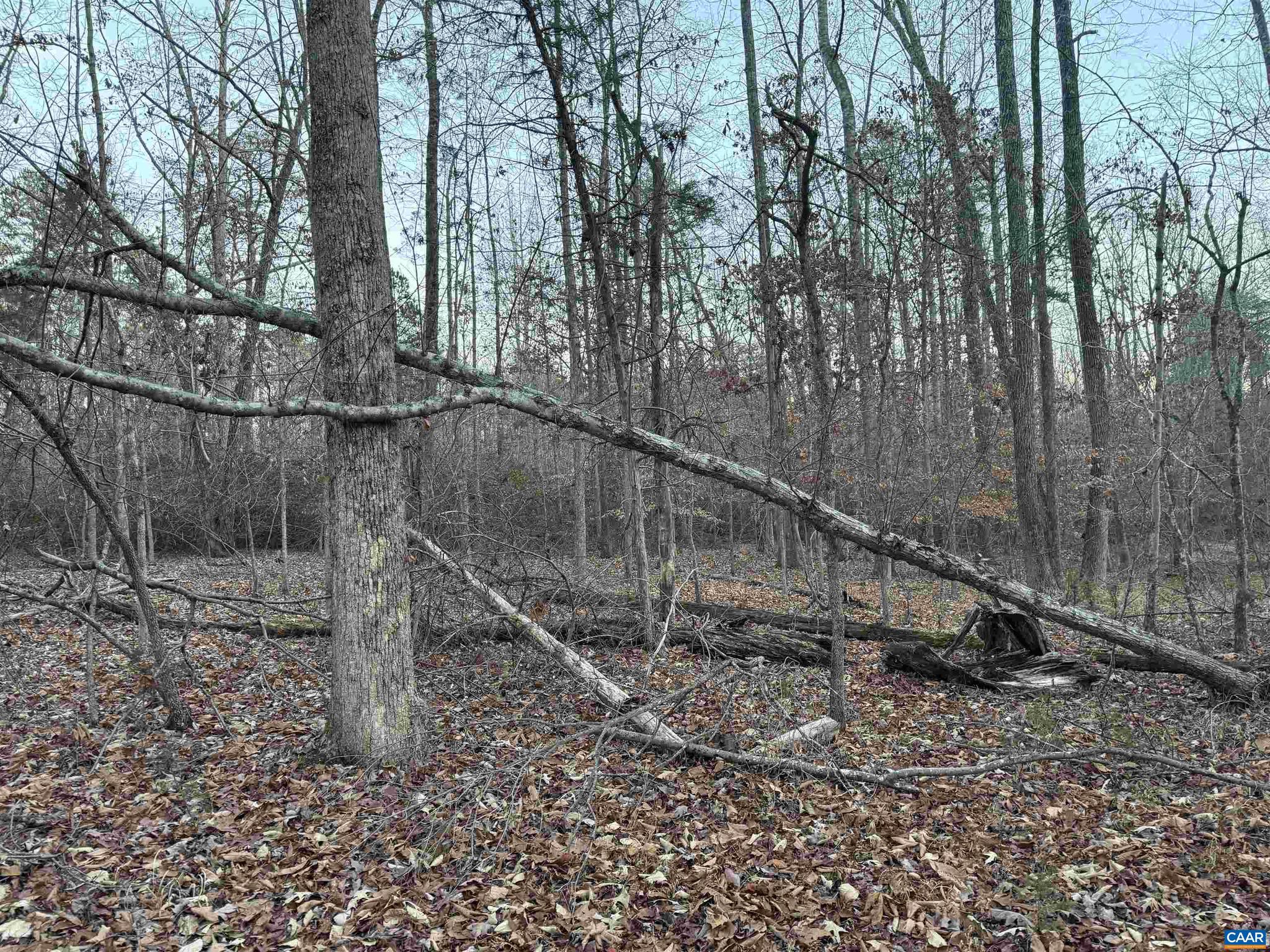 NONE AVAILABLE - Land