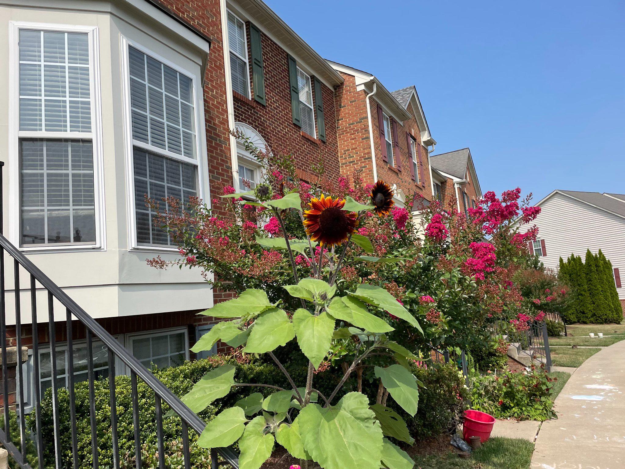 GLENBROOK - Residential