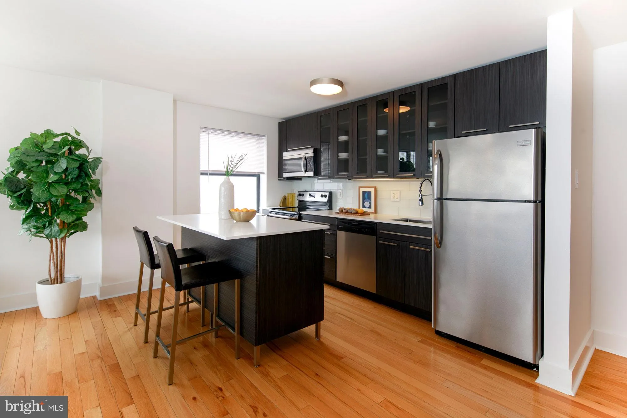 Philadelphia, Pennsylvania 19144, United States, 1 Bedroom Bedrooms, ,1 BathroomBathrooms,Residential,Active,181132