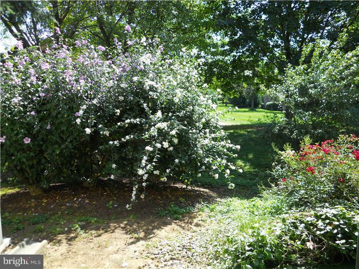 CHESTERBROOK - Residential