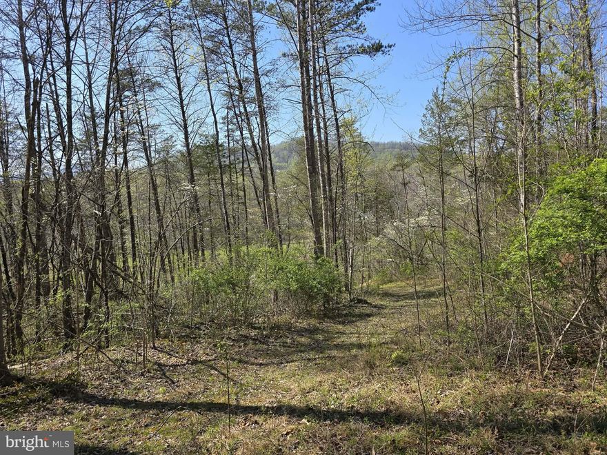 Absolutely breathtaking lot on Scenic Highway 231!!!!!!  Entrance is in place and approved by VDOT.  4 bedroom perc site approximately half way up the mountain on a lovely flat knoll.  Almost 180 degrees of Mountain Views from the building spot.  Wildlife trails everywhere! This is a rare opportunity!!!