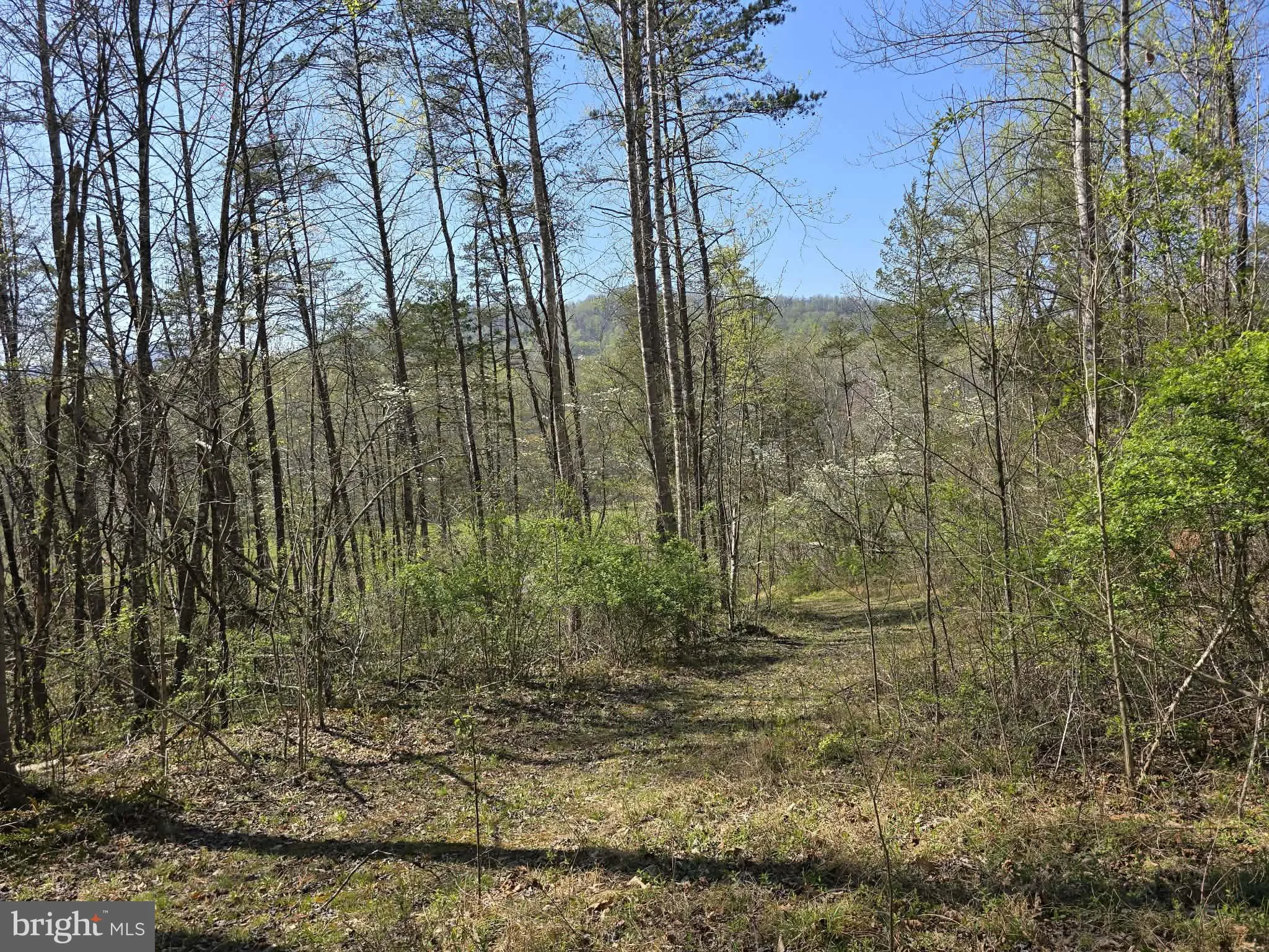 LOT 1 S Ft Valley Rd