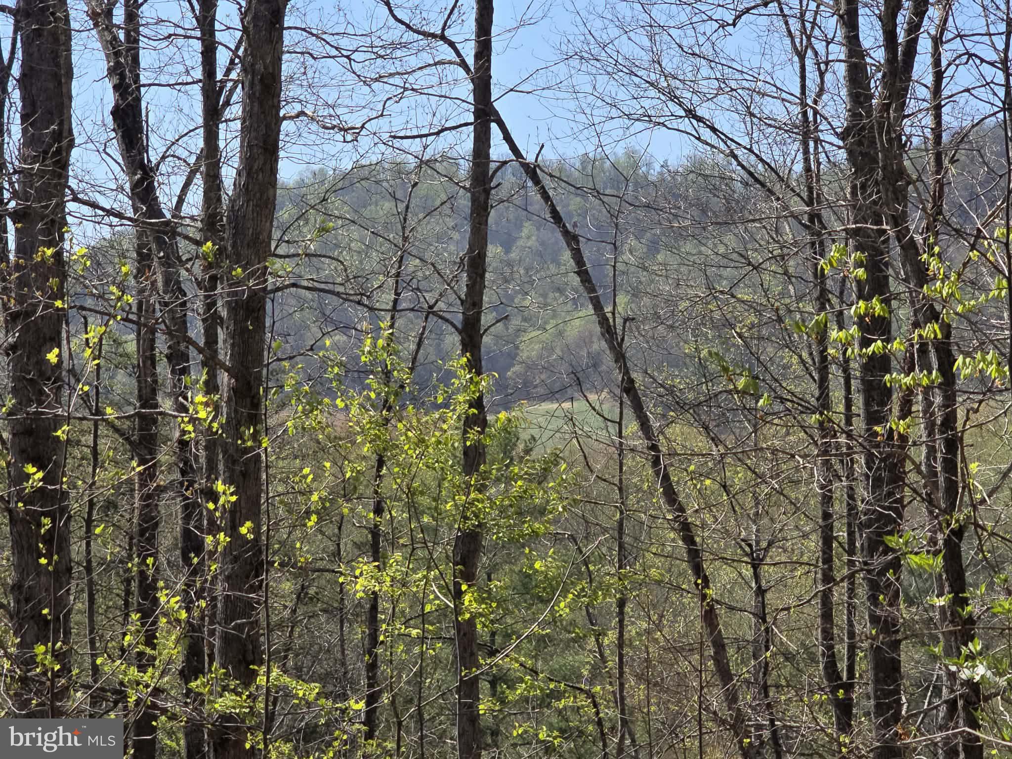 LOT 1 S FT VALLEY RD