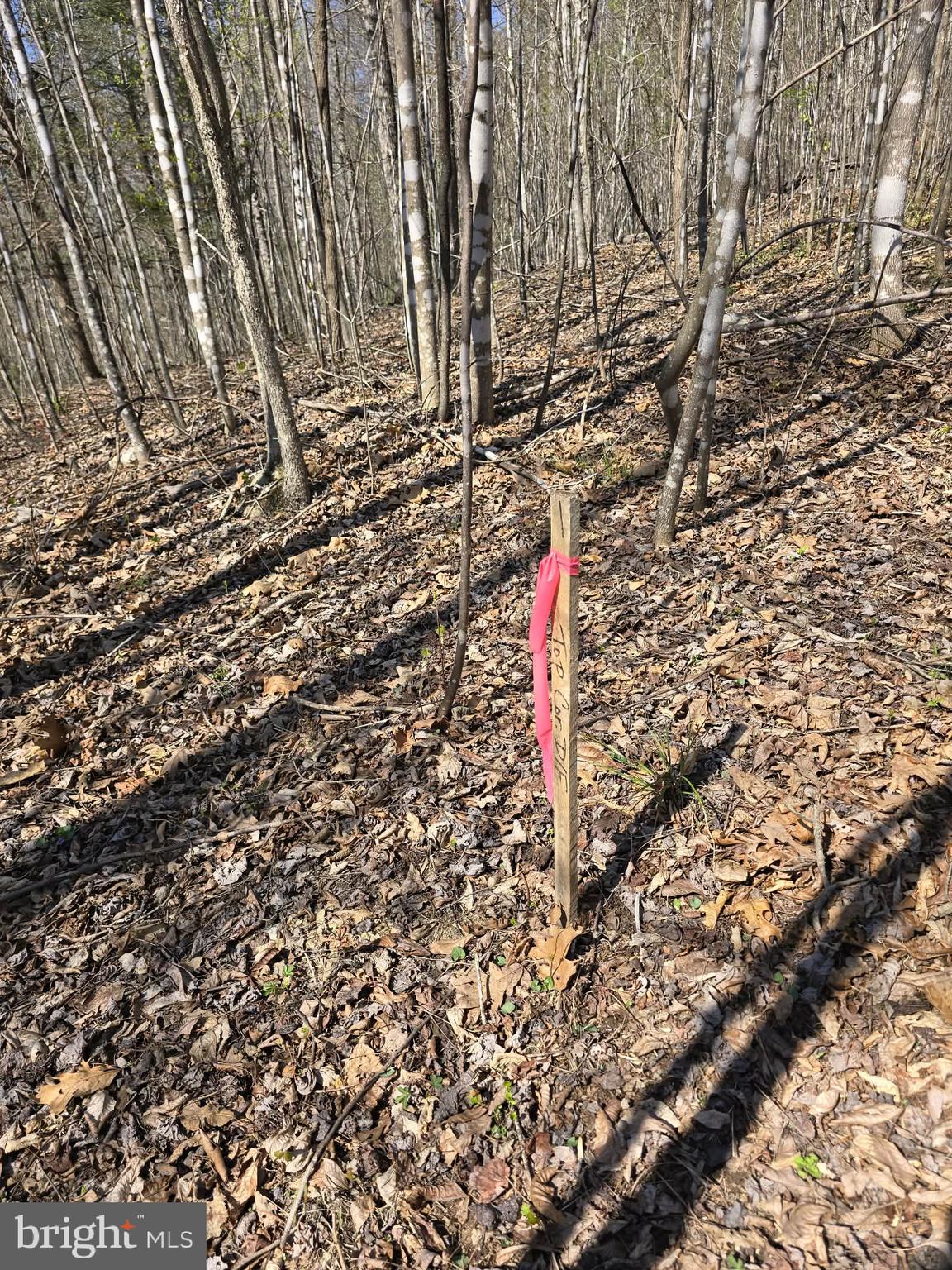 NONE AVAILABLE - Land
