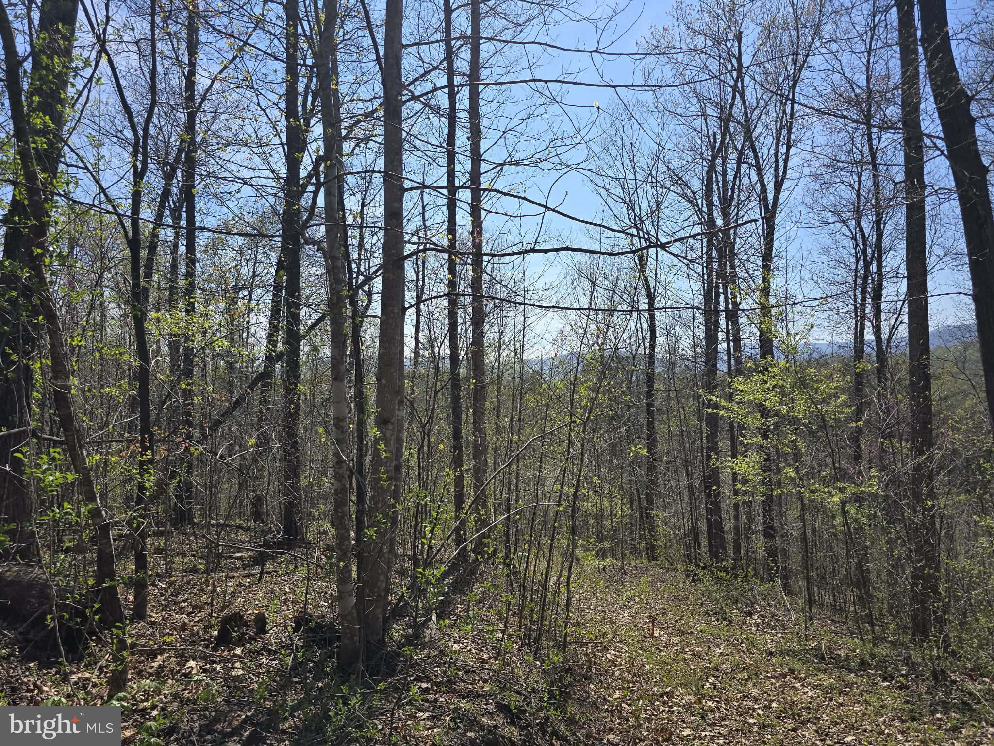 NONE AVAILABLE - Land