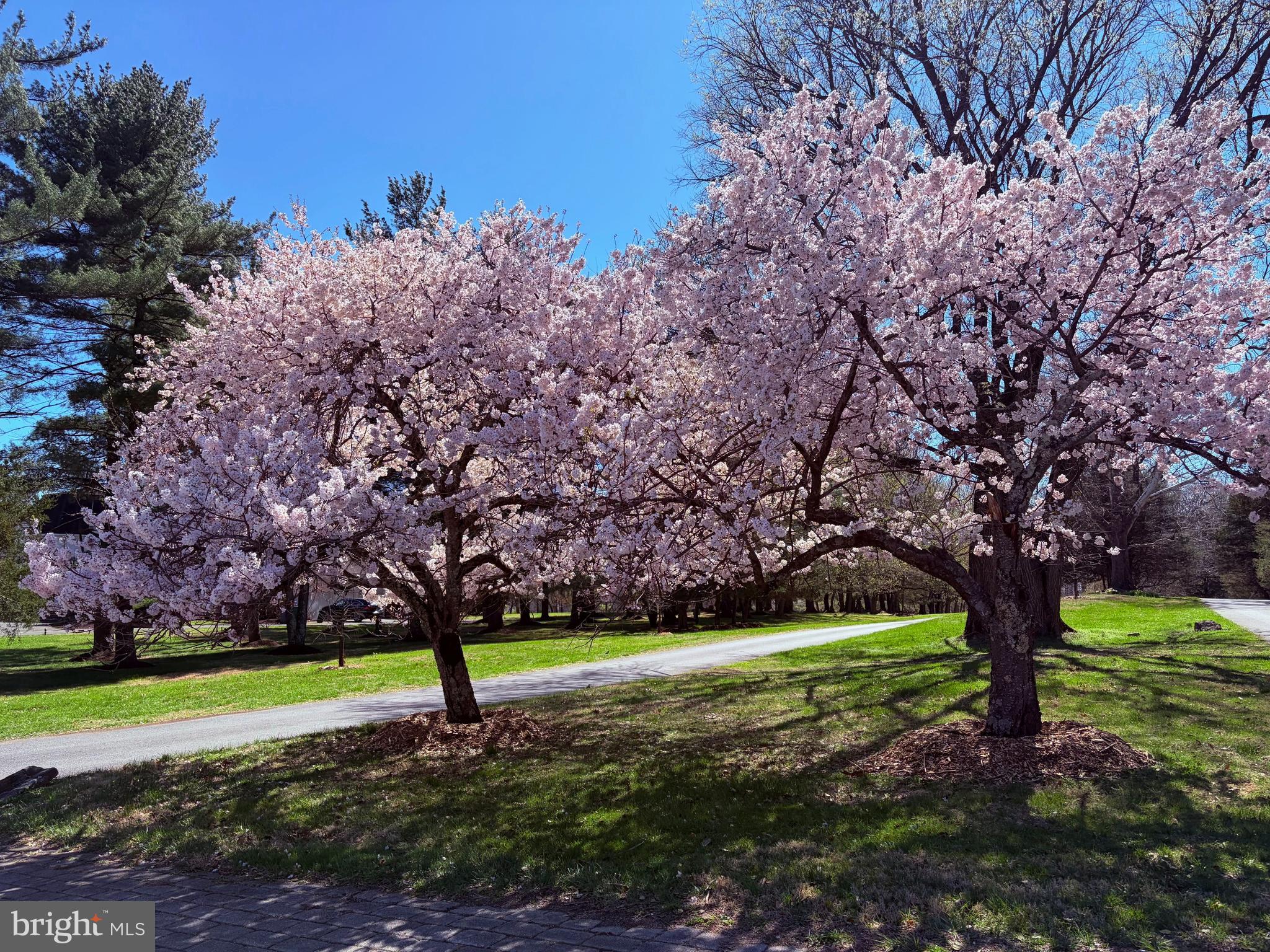 MERRY GO ROUND FARM - Residential