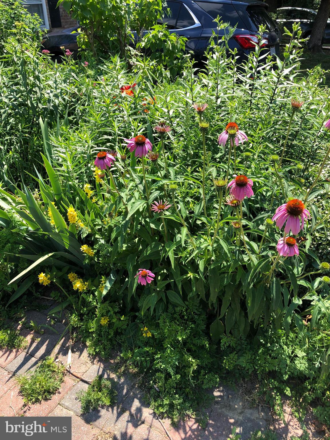 DEL RAY - Residential