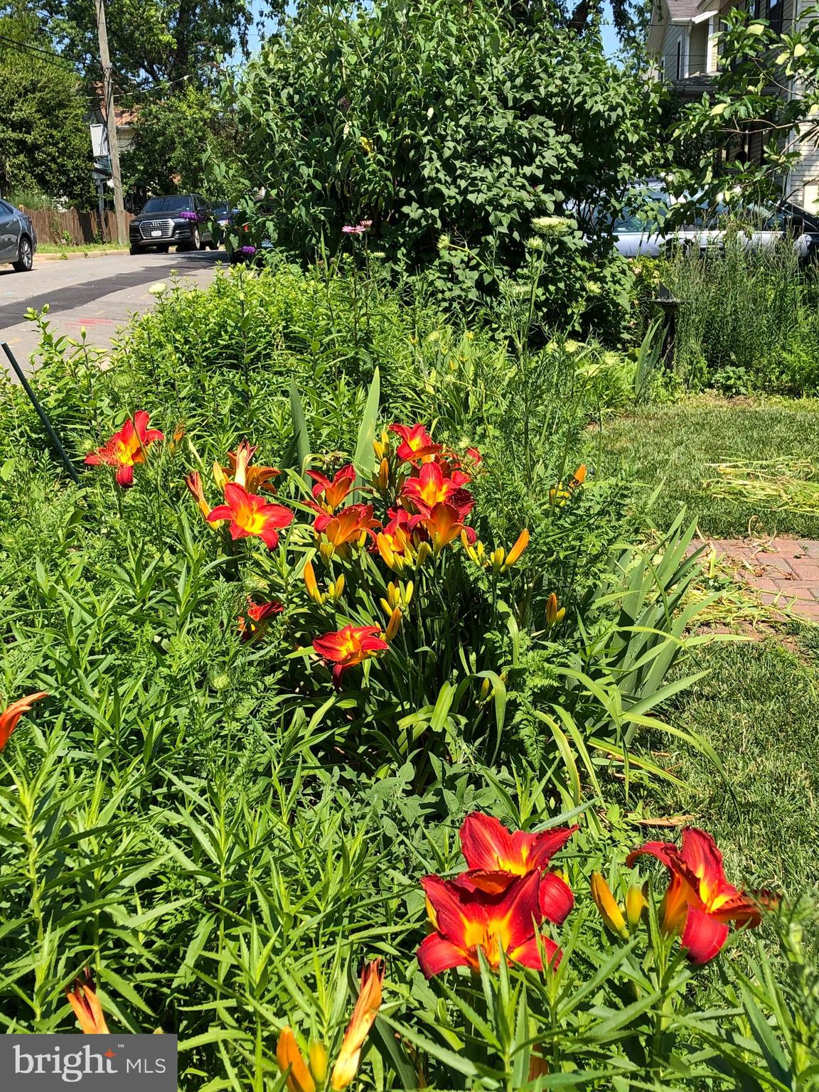 DEL RAY - Residential