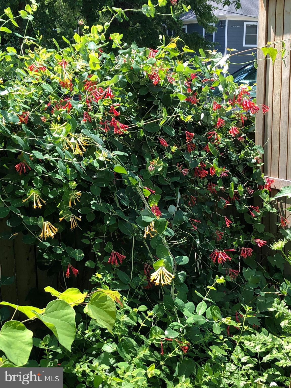 DEL RAY - Residential