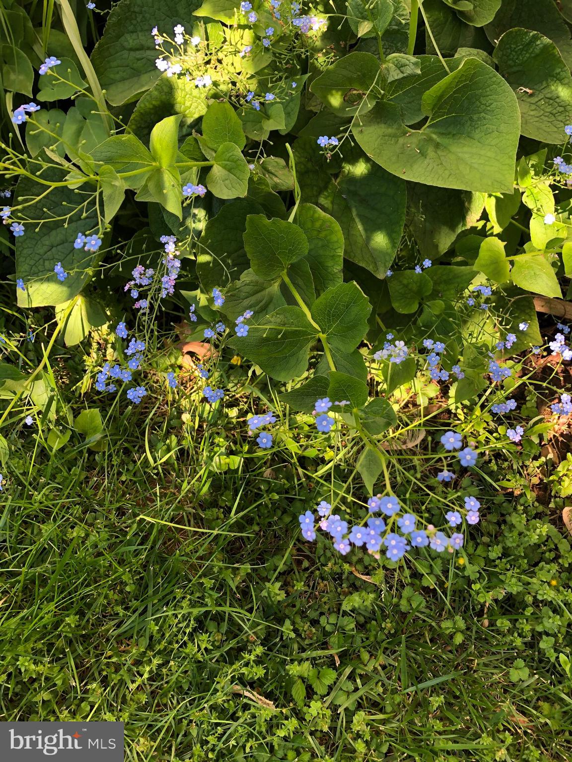 DEL RAY - Residential