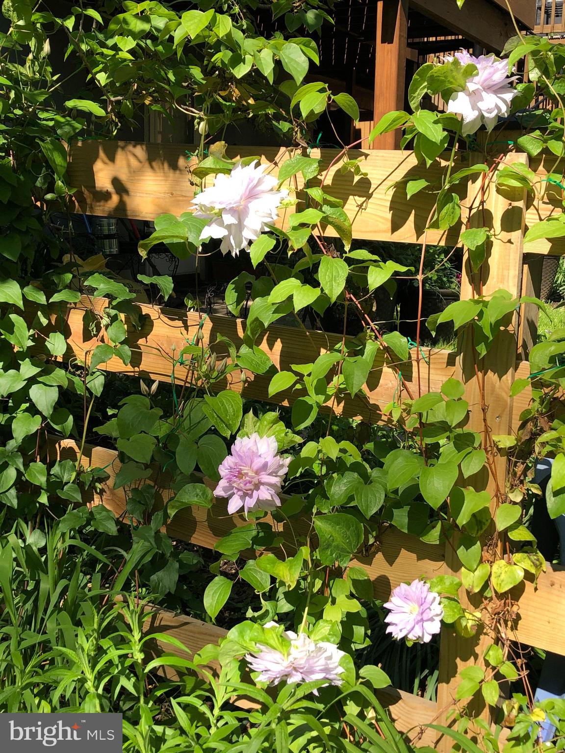 DEL RAY - Residential