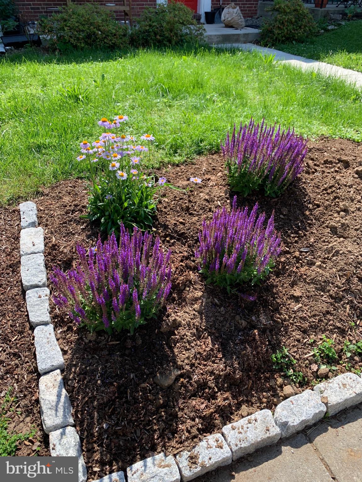 EDNOR GARDENS HISTORIC DISTRICT - Residential