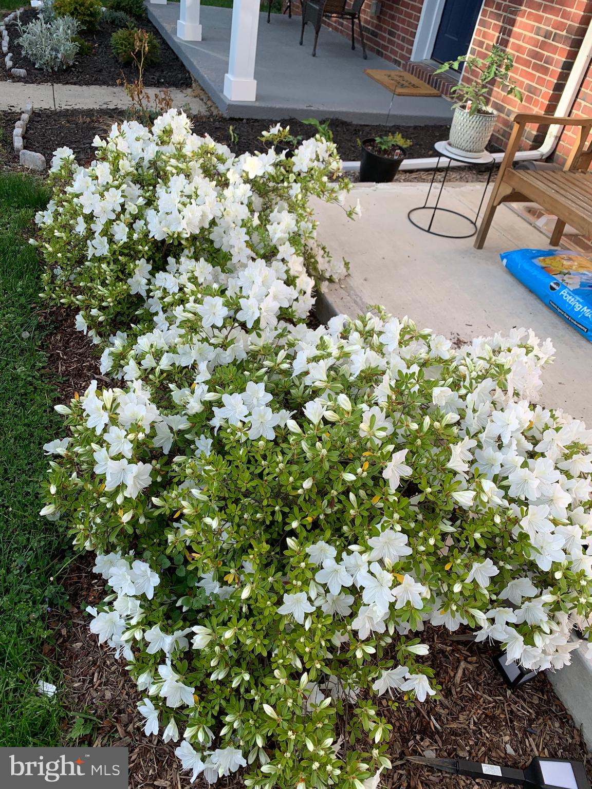 EDNOR GARDENS HISTORIC DISTRICT - Residential