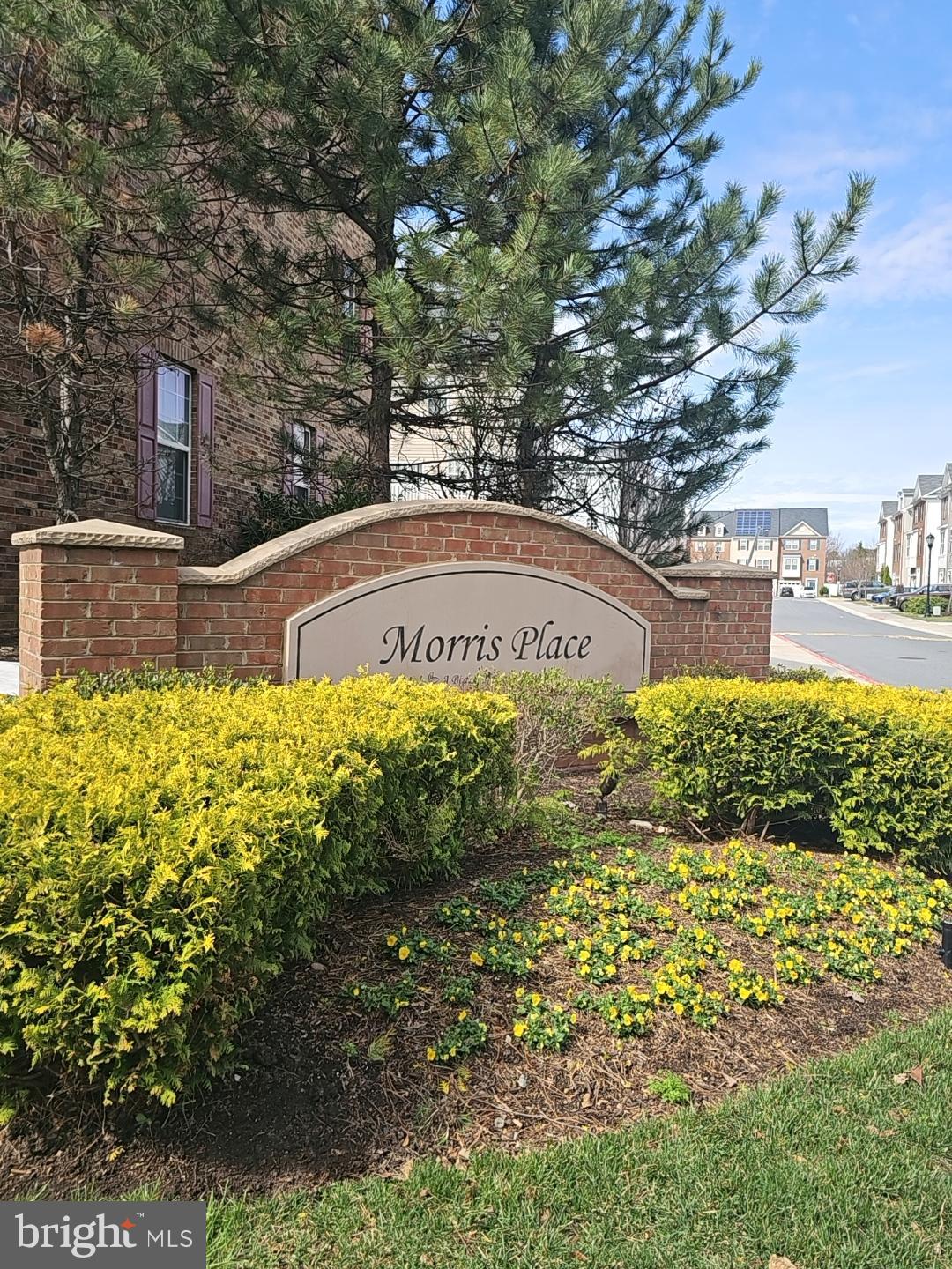 MORRIS PLACE - Residential