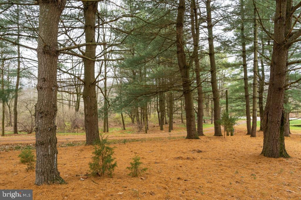 BRECKNOCK TOWNSHIP - Residential