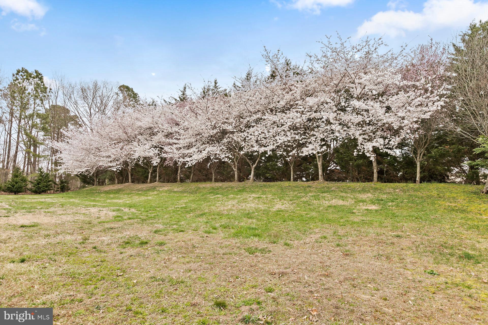 CHICKADEE CIRCLE CONDOMINIUMS - Residential