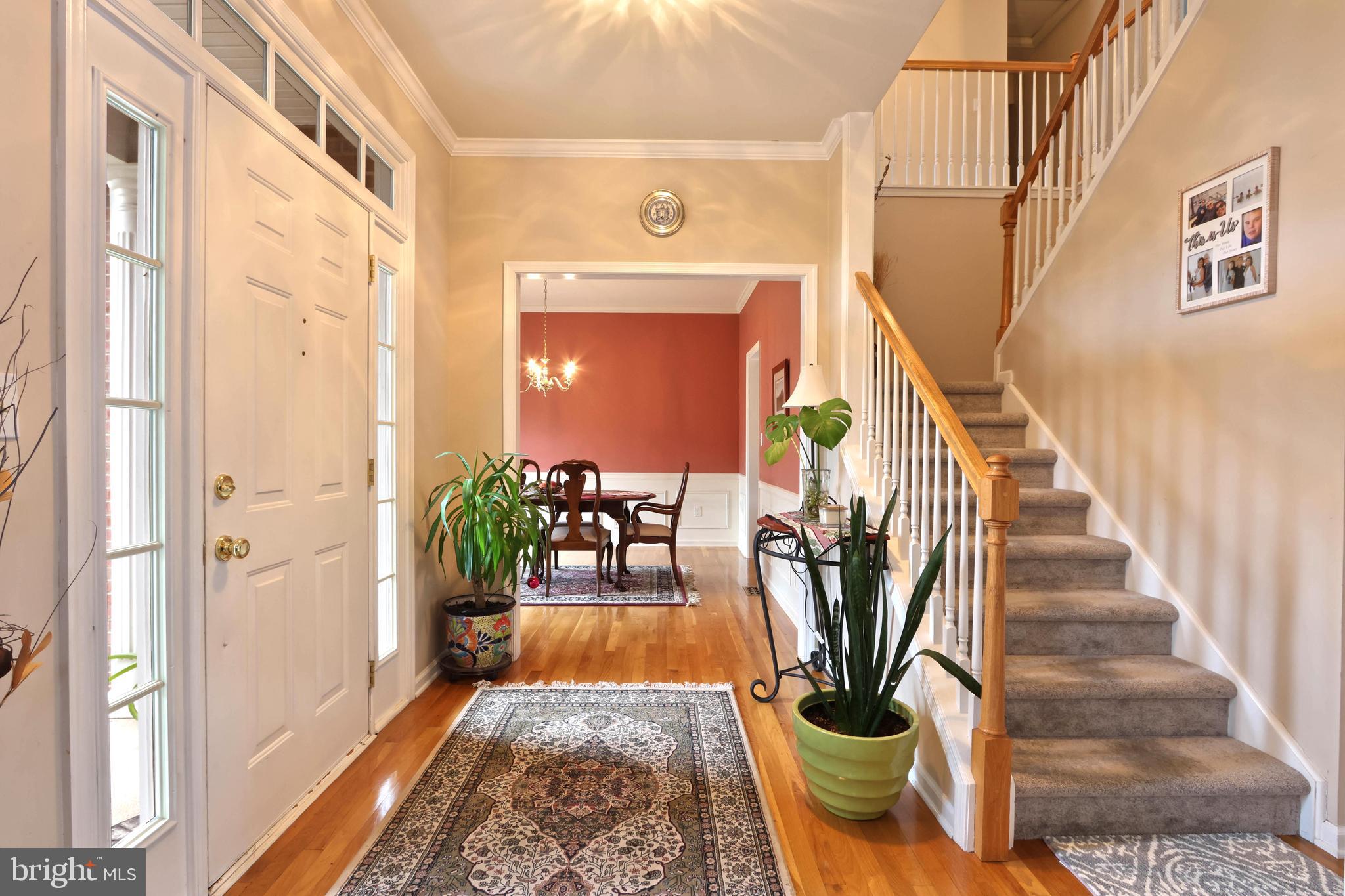 OLD ORCHARD - Residential