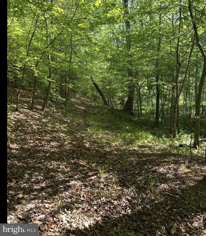 Discover 25.36 private acres in King George County zoned A-2 and ready for your dream home. This buildable parcel has already percolated for a 4-bedroom residence and features a deeded access road for convenient entry while maintaining privacy. With plenty of space for a custom home, outbuildings, or a small farmstead, this property offers the perfect blend of rural charm and flexibility in beautiful Virginia. Whether you're ready to build now or invest for the future, this is a rare opportunity to own in a desirable location.