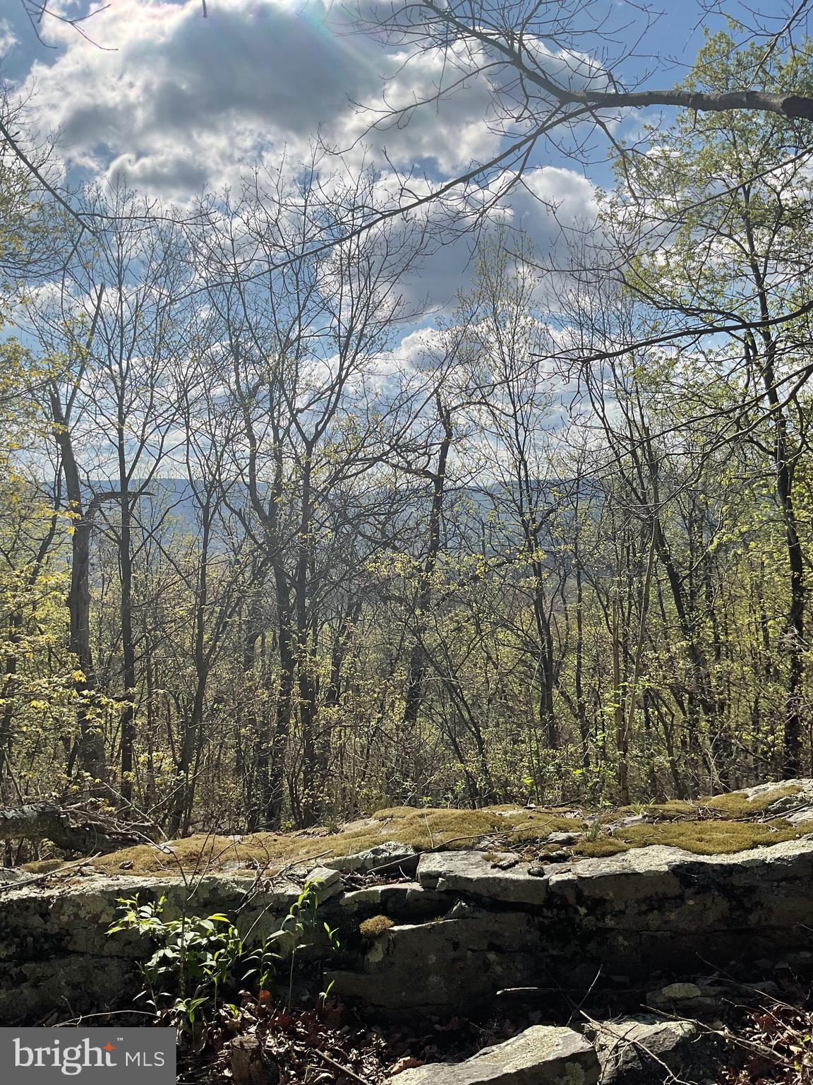 Lot 44A MOUNTAIN TOP RD