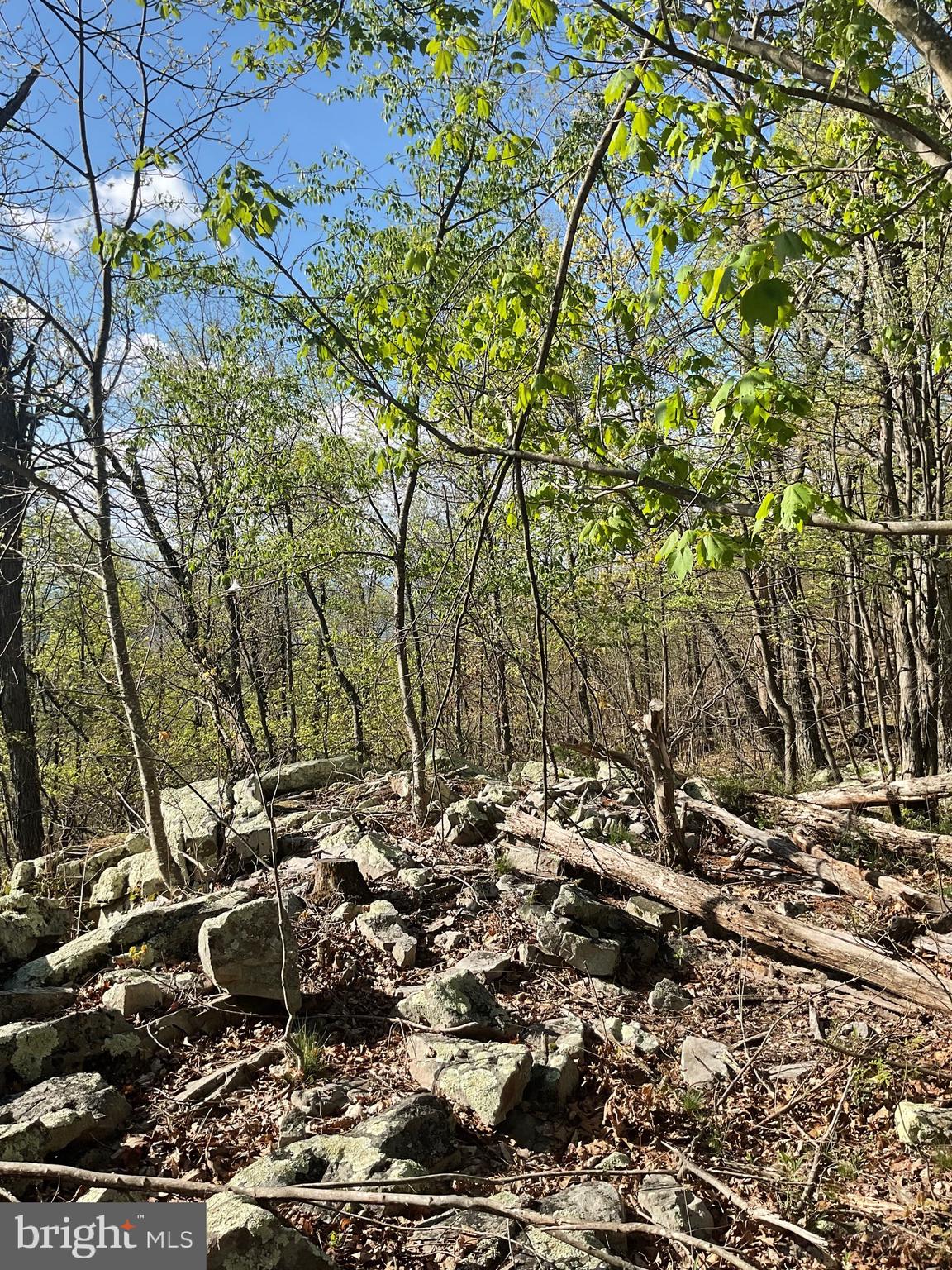 Lot 44A MOUNTAIN TOP RD