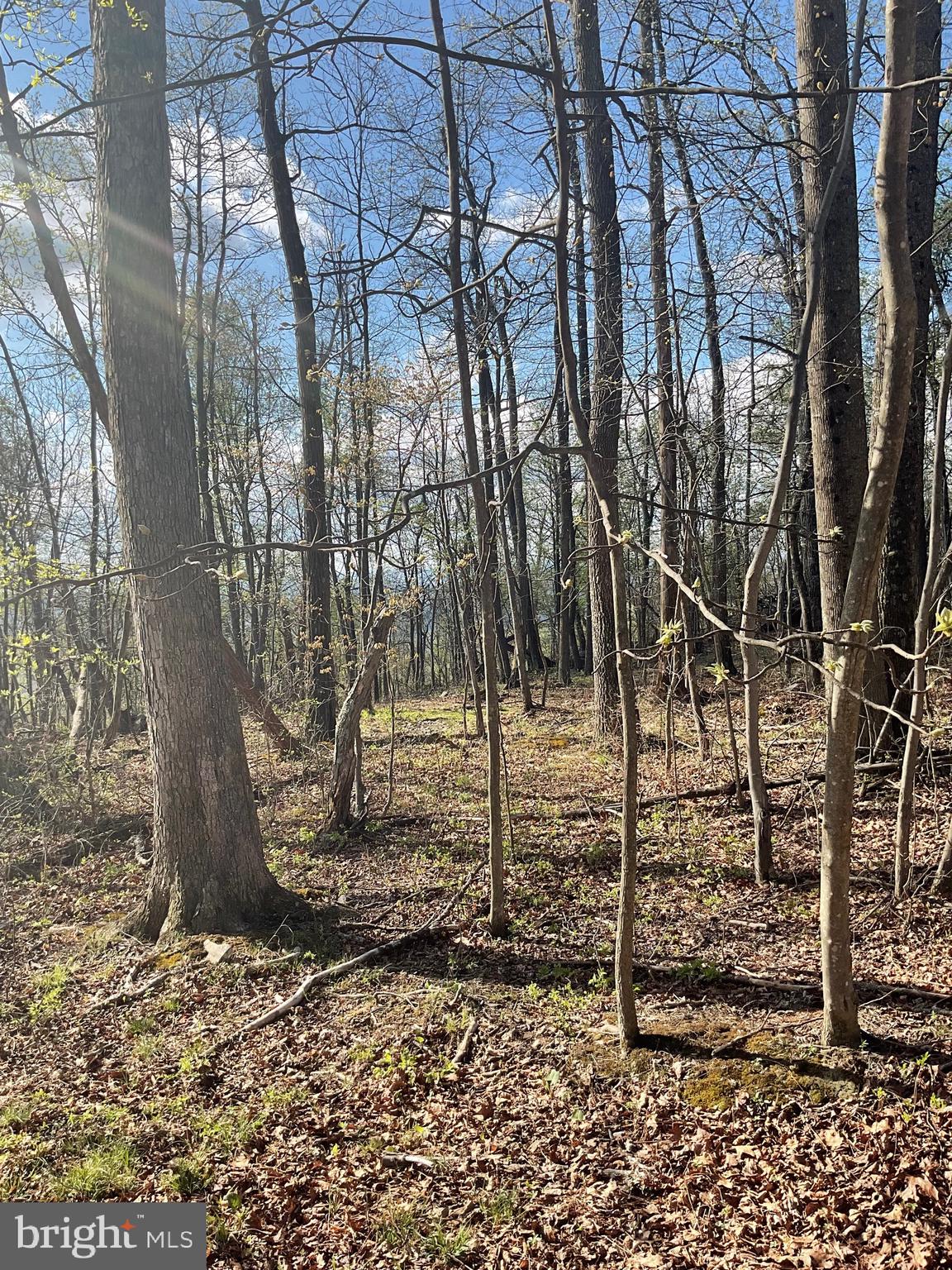 Lot 44A MOUNTAIN TOP RD