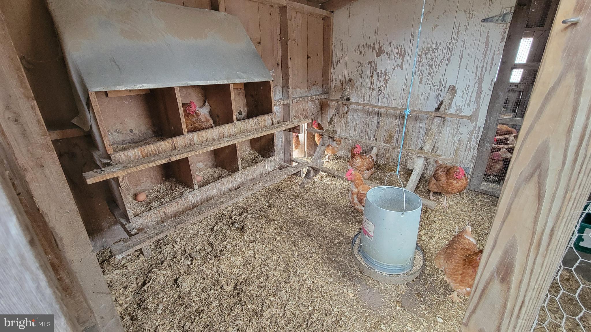 NONE AVAILABLE - Farm