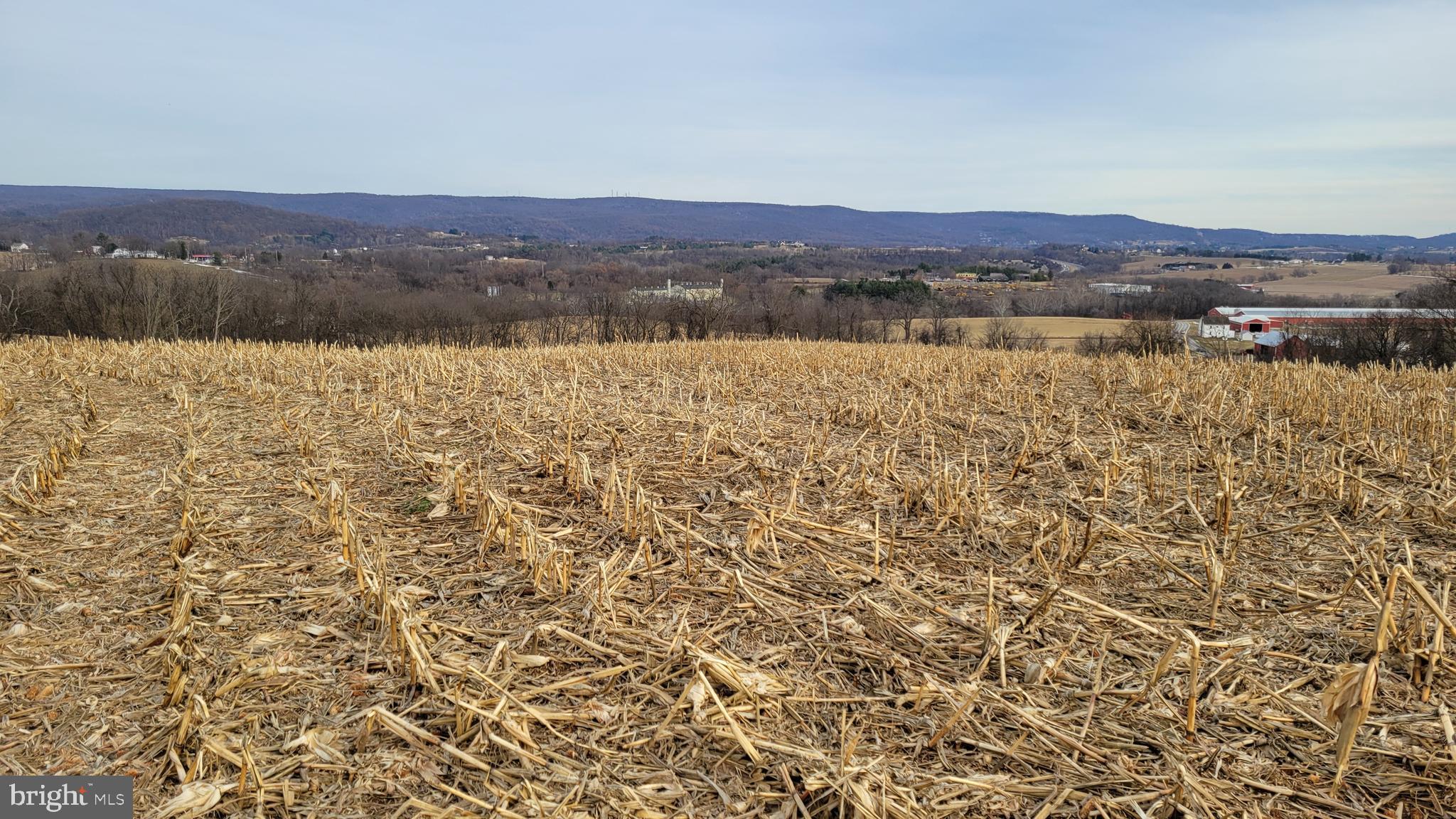 NONE AVAILABLE - Farm