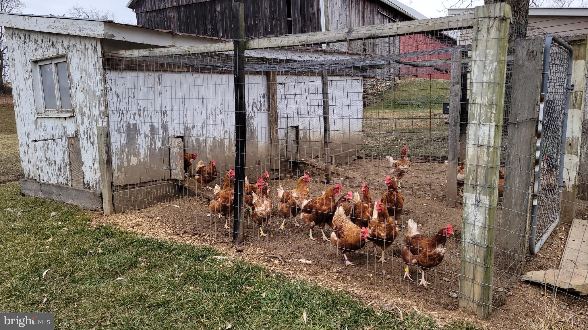 NONE AVAILABLE - Farm