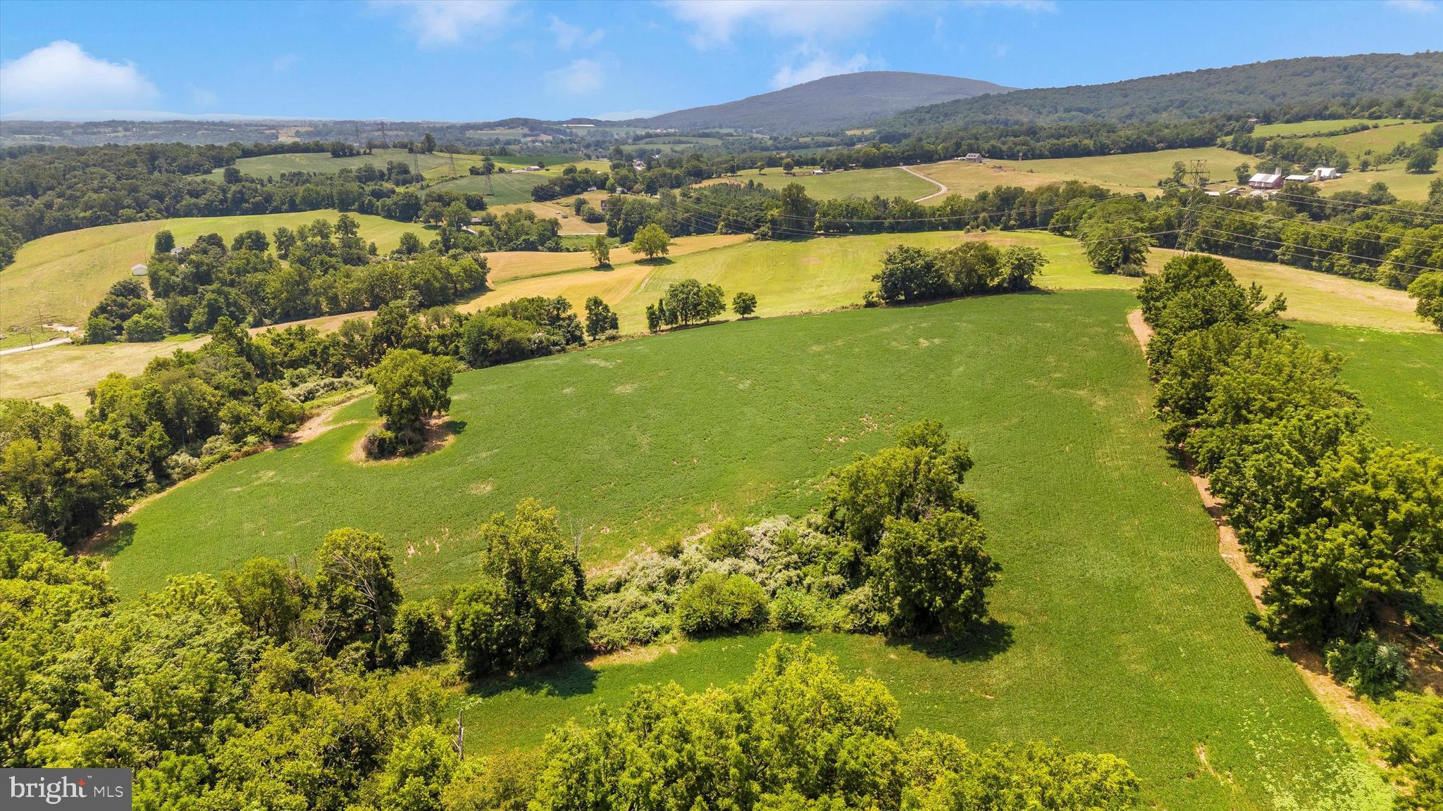 NONE AVAILABLE - Farm