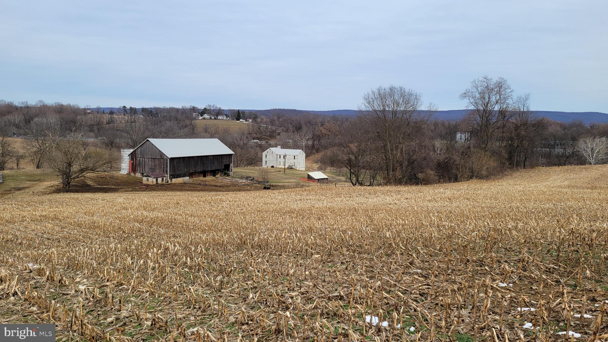 NONE AVAILABLE - Farm