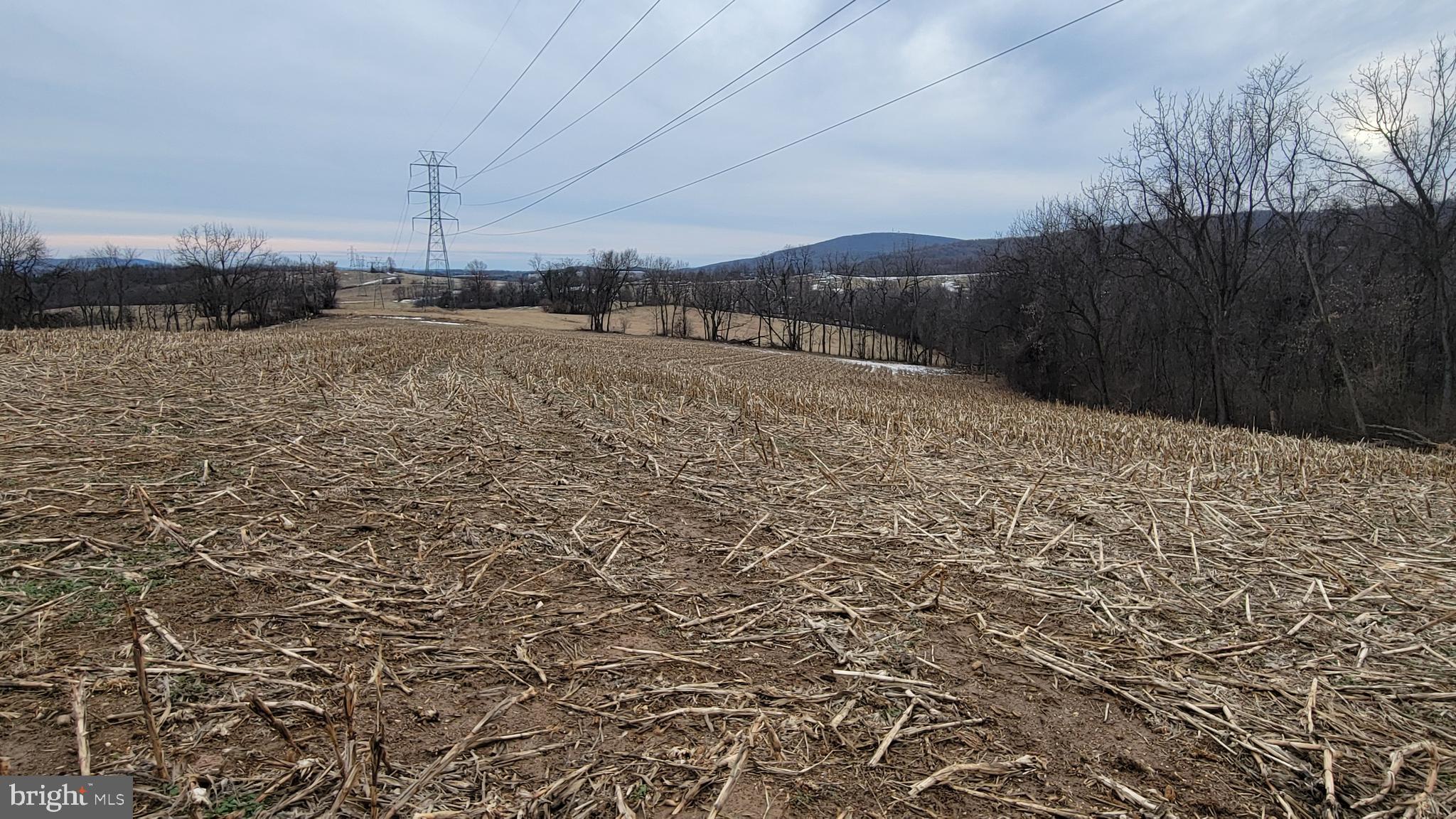 NONE AVAILABLE - Farm