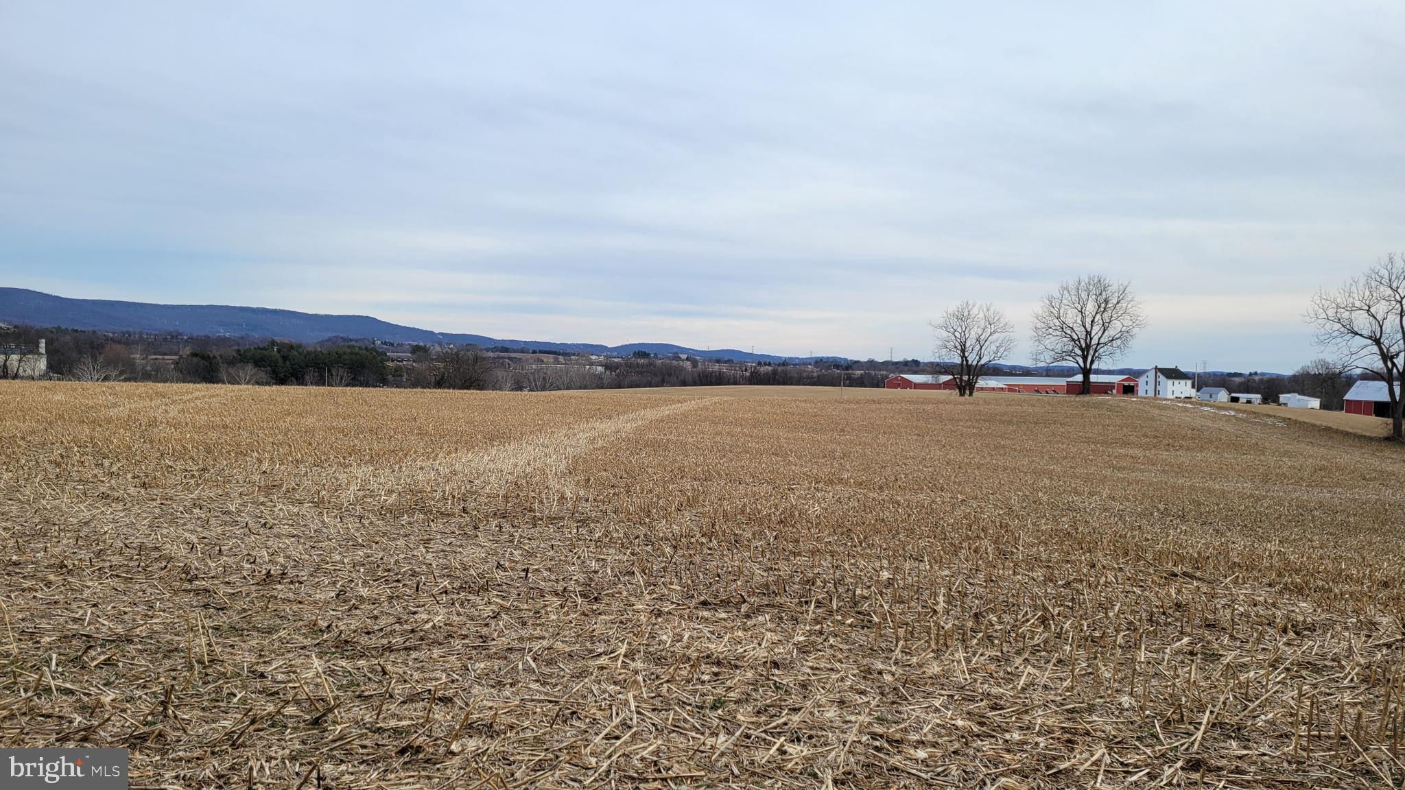 NONE AVAILABLE - Farm