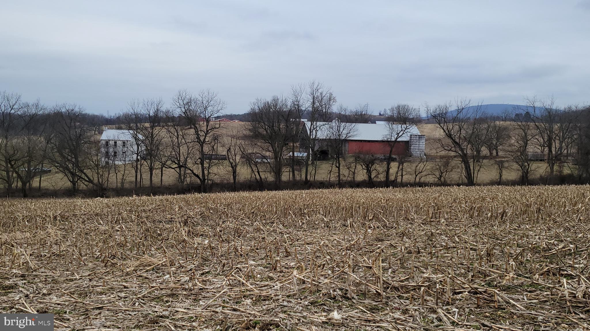 NONE AVAILABLE - Farm