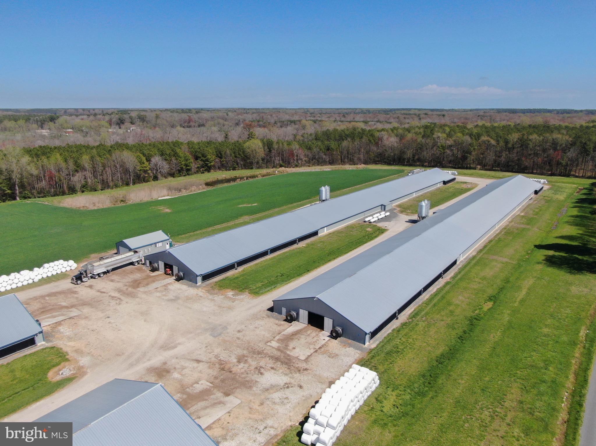 NONE AVAILABLE - Farm