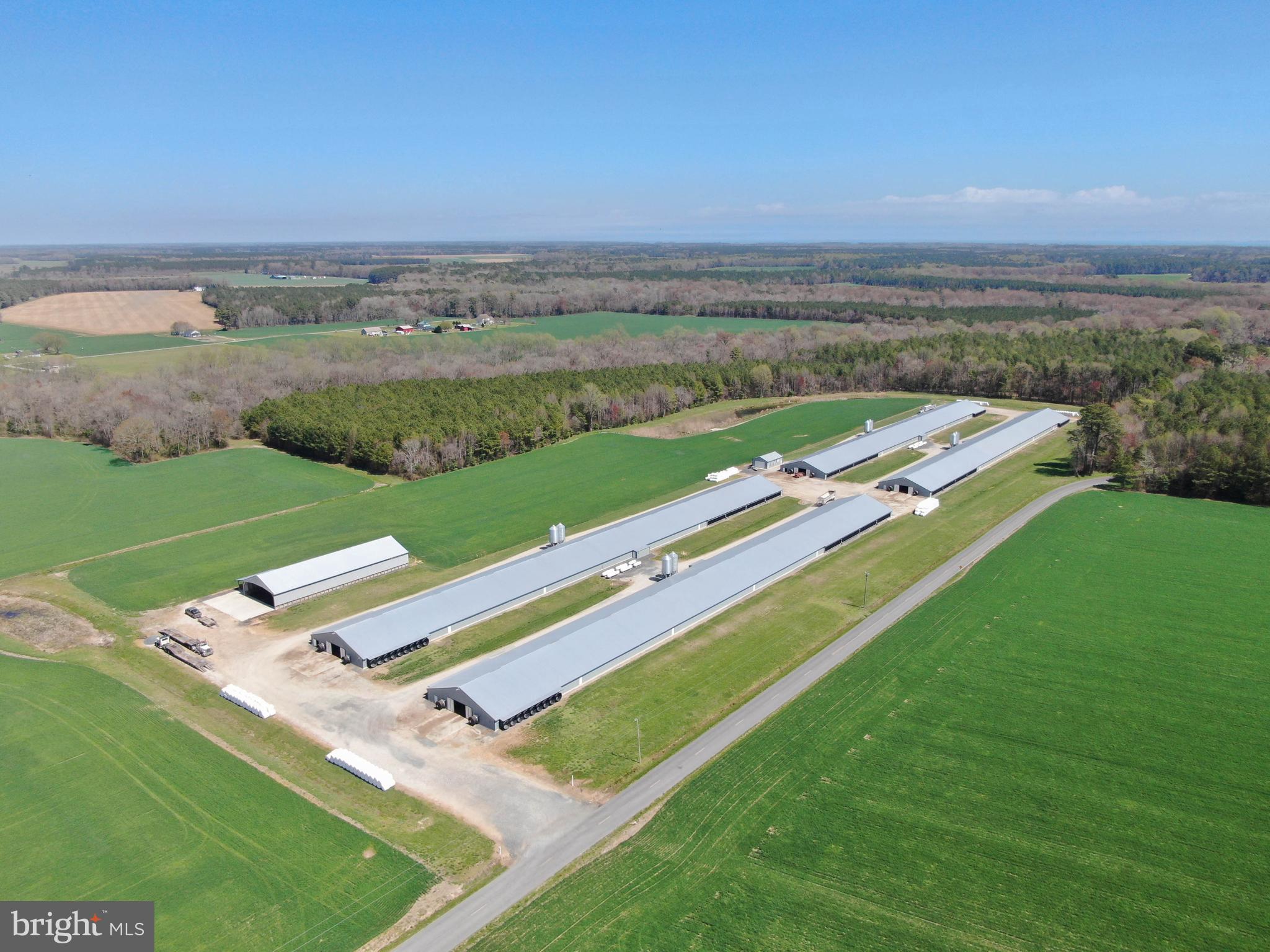 NONE AVAILABLE - Farm