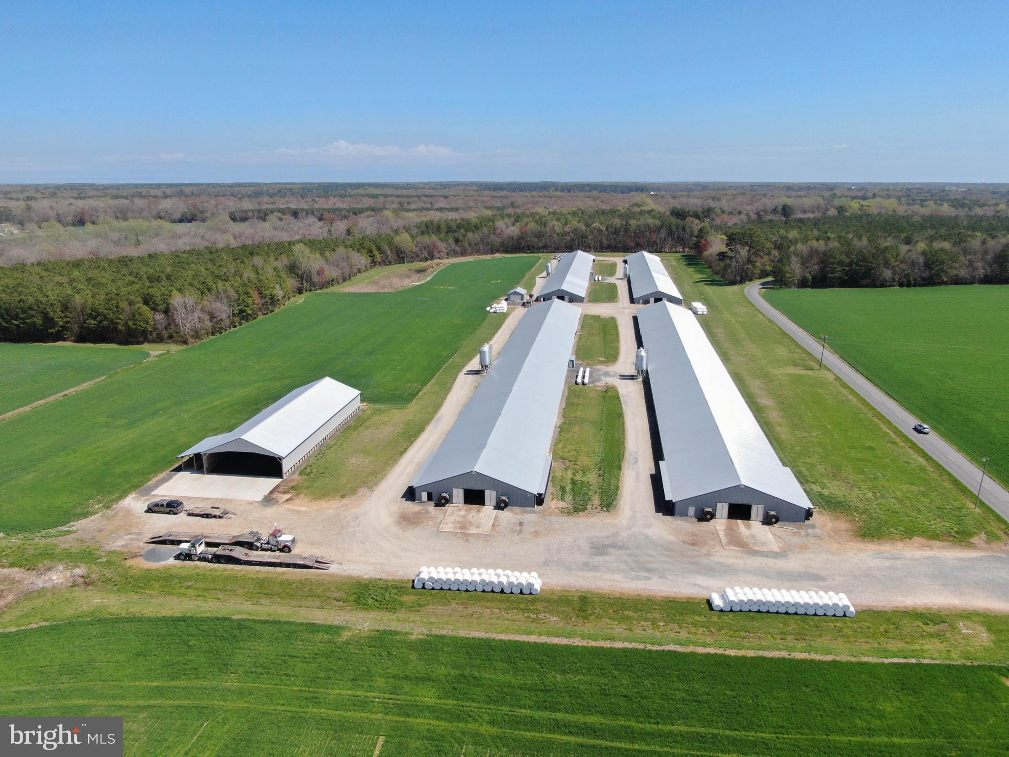 NONE AVAILABLE - Farm