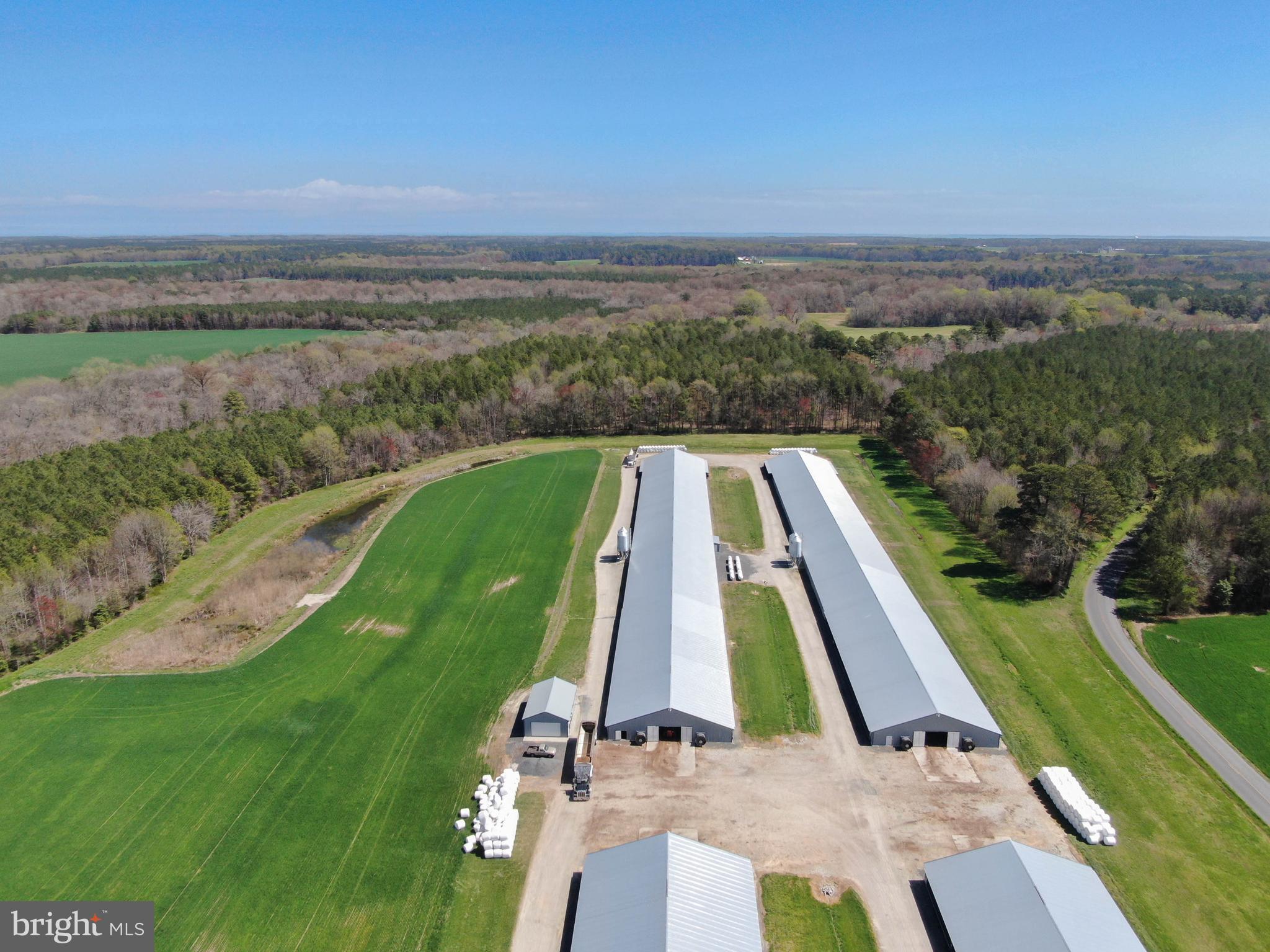 NONE AVAILABLE - Farm