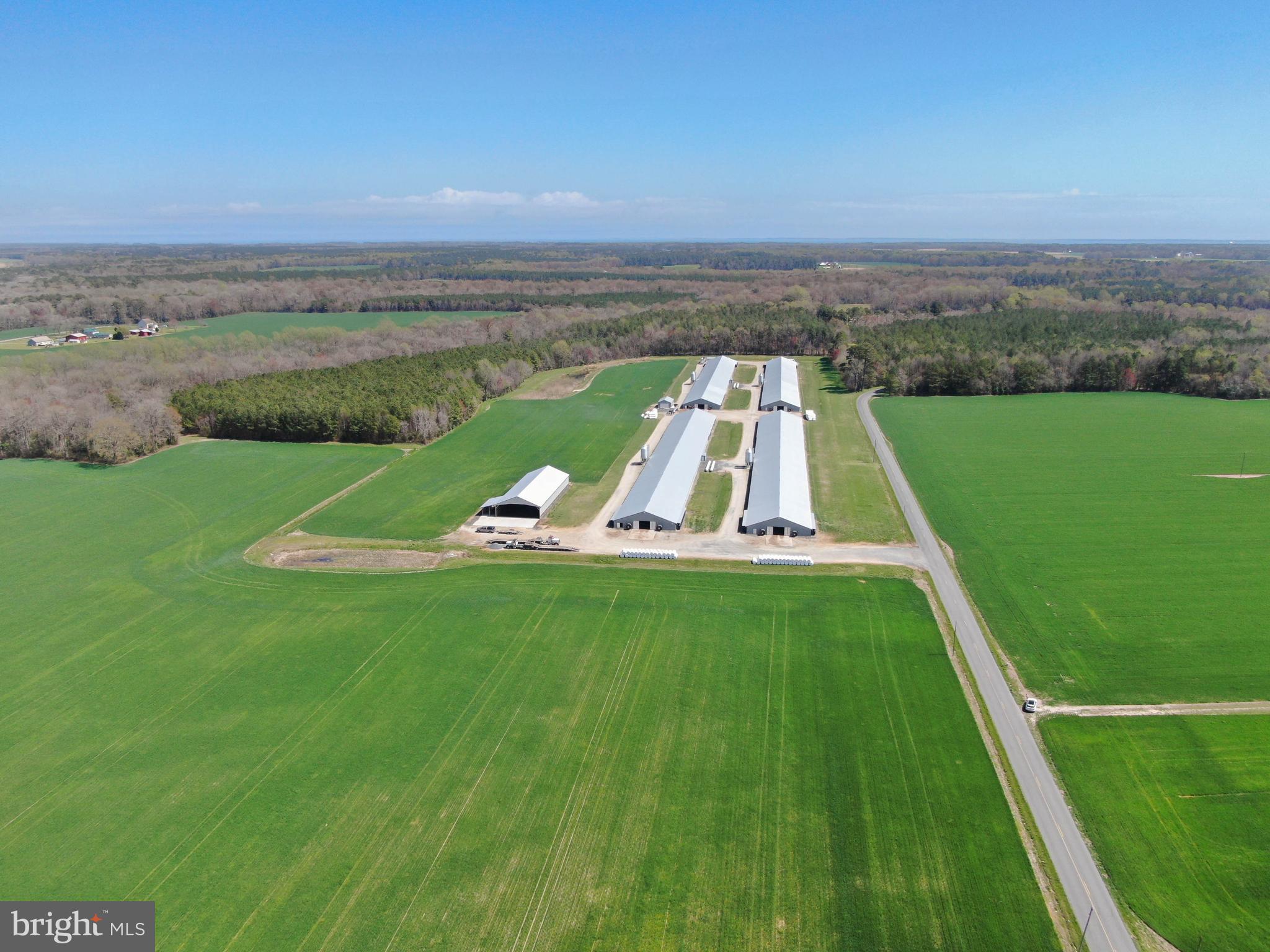 NONE AVAILABLE - Farm