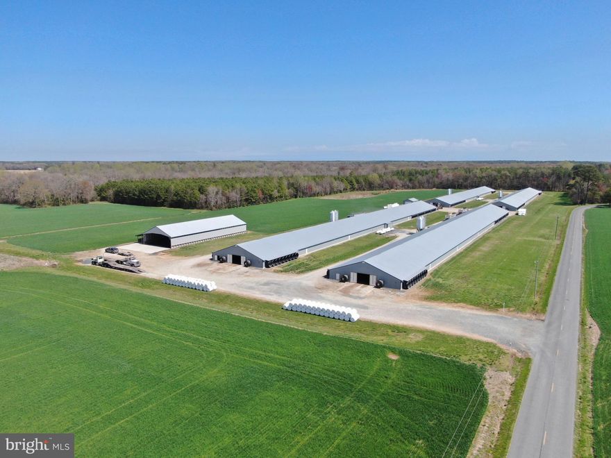 Immaculate four house poultry farm growing for Tyson. All houses are 67x600s built in 2019. Total square footage is 160,800. Farm is +/- 44 total acres including +/- 20 tillable acres and 20+/- wooded acres. Farm has a perc approval and platted SRA located on lot 2. Generator room includes new shower, washer, dryer, and refrigerator. Farm was previously permitted to build two additional poultry houses. New house bonus income is $47,500 annually and runs through 2028 (Five payments remaining). Lot lines in map and aerial imagery are approximate. Lot line adjustment in progress to connect Lot 2 to the larger parcel (77A). Farm is subject to Right of Way easement allowing the neighboring farmer access to Ag fields surrounding the farm. Sale includes John Deere tractor with bucket and box blade along with reserve stand tubes and motors. No poultry house upgrades required for new grower.