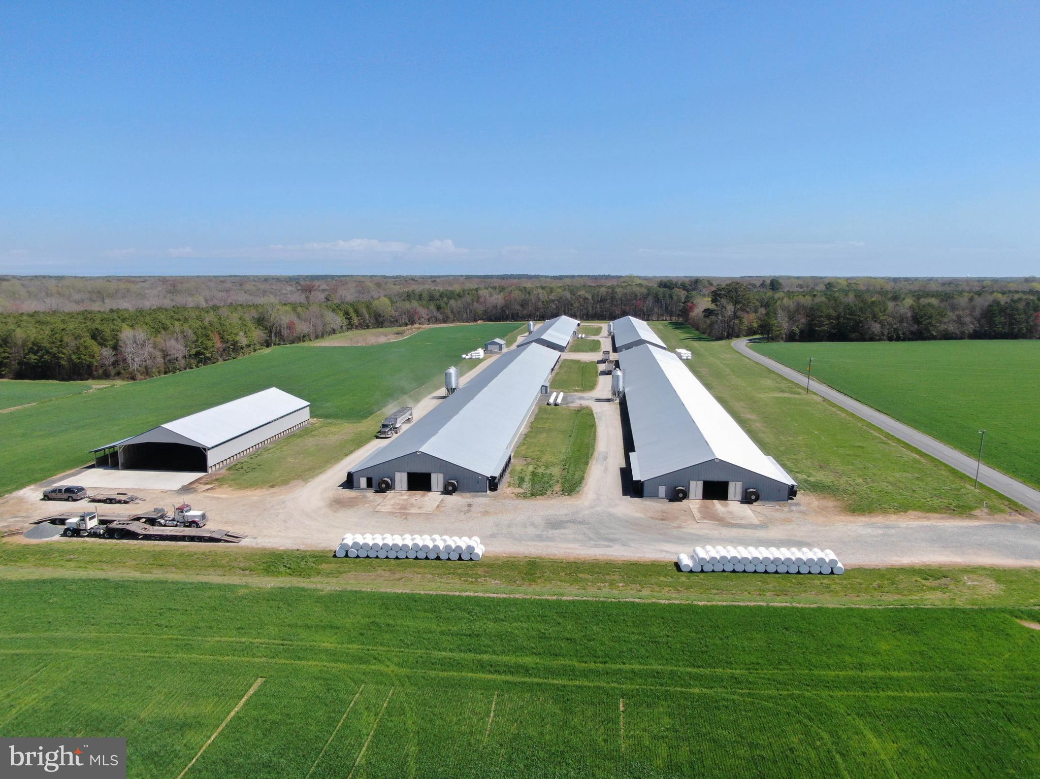 NONE AVAILABLE - Farm