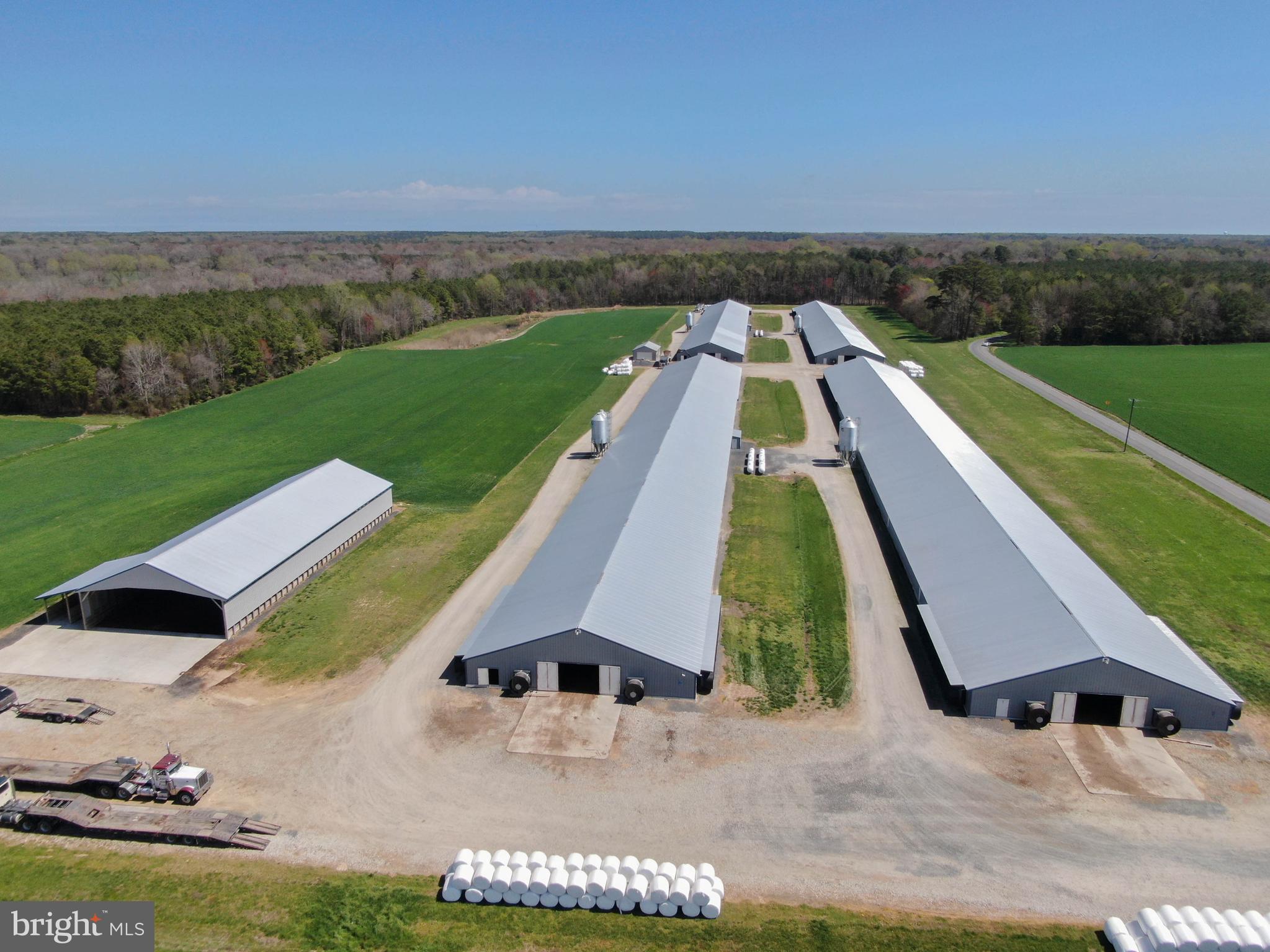 NONE AVAILABLE - Farm