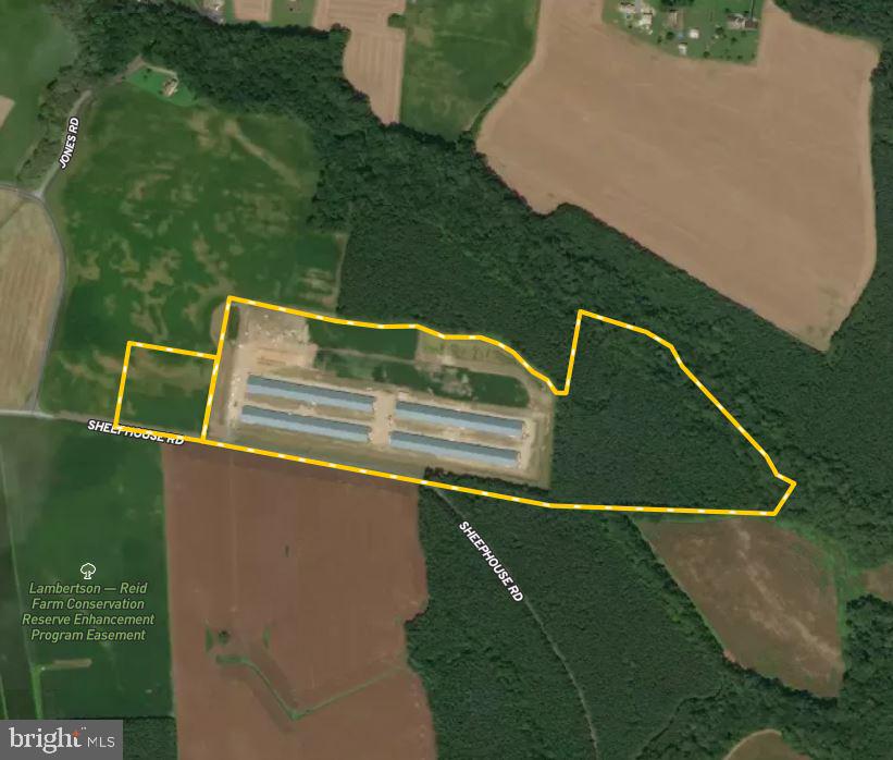 NONE AVAILABLE - Farm